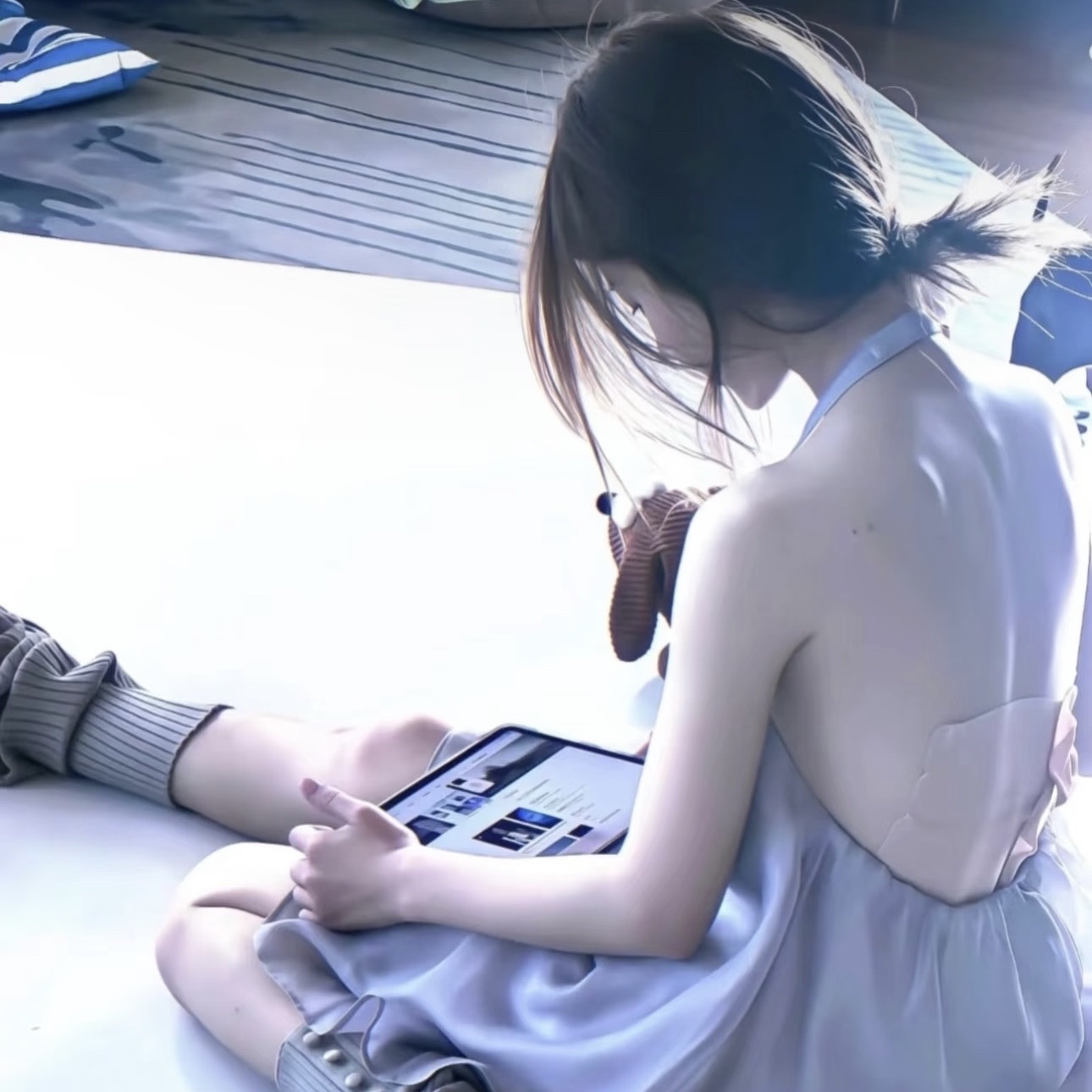 King Charles Cavalier